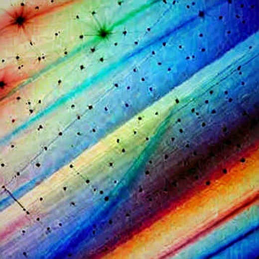 The 3.6% Trap: Why the Iran Regime Prediction Market Is a Structural Time Bomb The 3.6% Trap: Why the Iran Regime Prediction Market Is a Structural Time Bomb