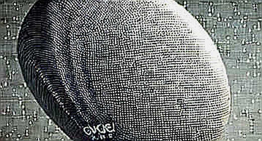 The Witness and the Ledger: Alan Lane's Silvergate Testimony and the Cost of Believing a Founder